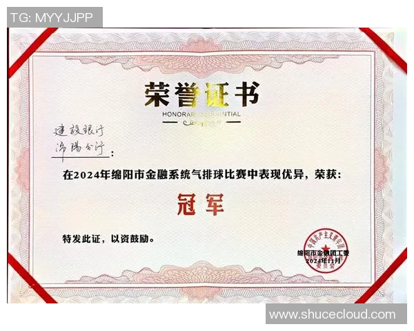 成都排球队的精神风貌与发展历程探讨