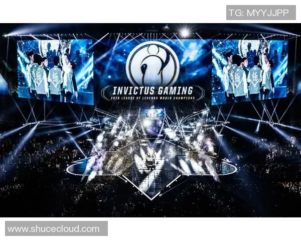 挑战者杯回顾：IG团队协作的亮点与不足分析