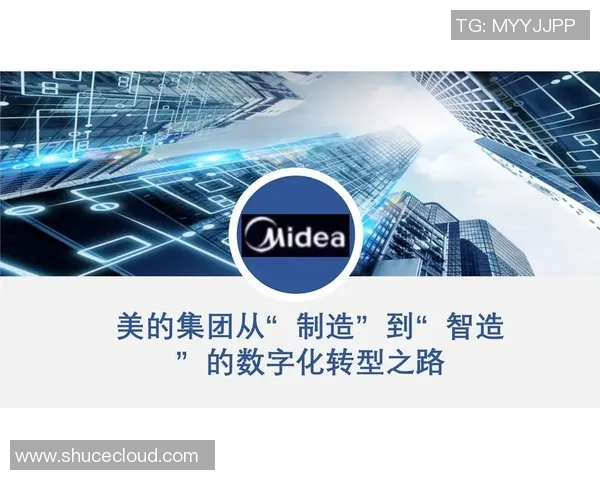 武汉排球队运营革新探讨：从传统模式到现代管理的转型之路