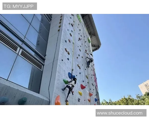 聚焦攀岩运动的灵活性探讨：北京攀岩队的训练与挑战分析